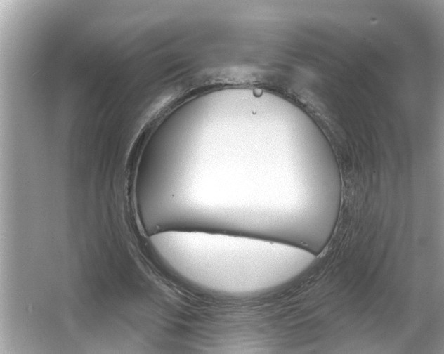 X0000067920679200604131135