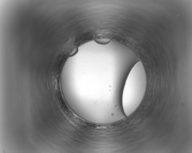 X0000067920703200604131135