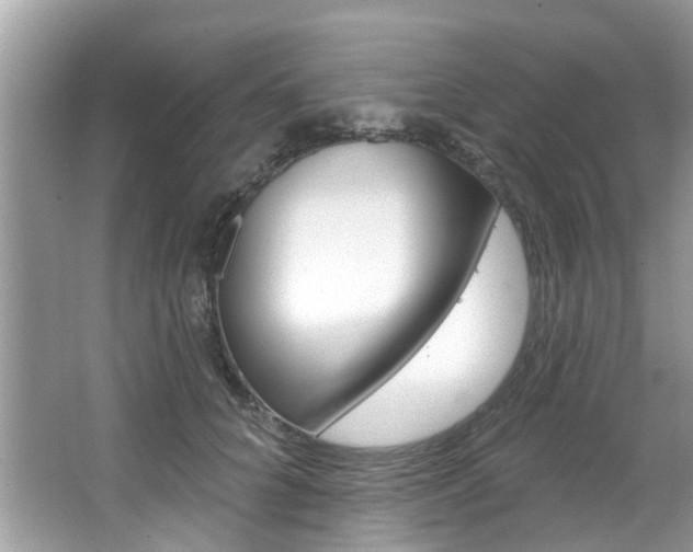 X0000067920704200604131135