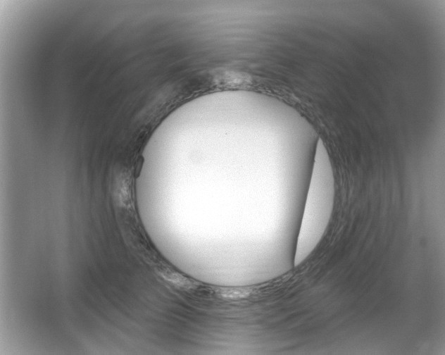 X0000067920709200604131135