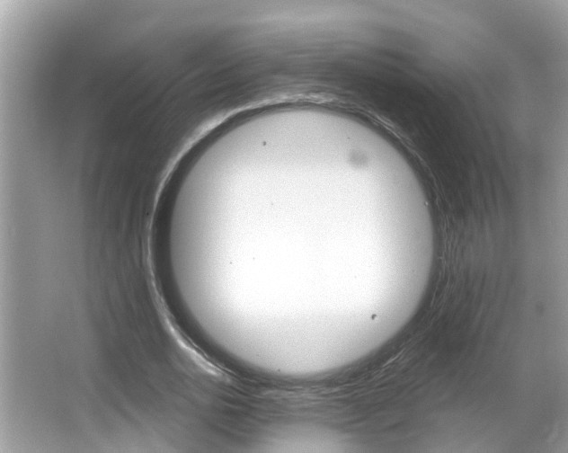 X0000067920726200604131134