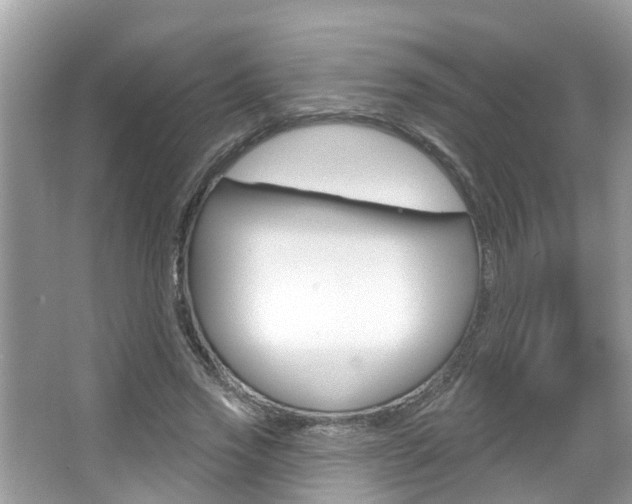 X0000067920733200604131134
