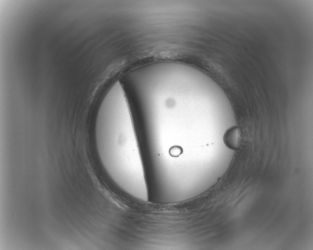 X0000067920738200604131134