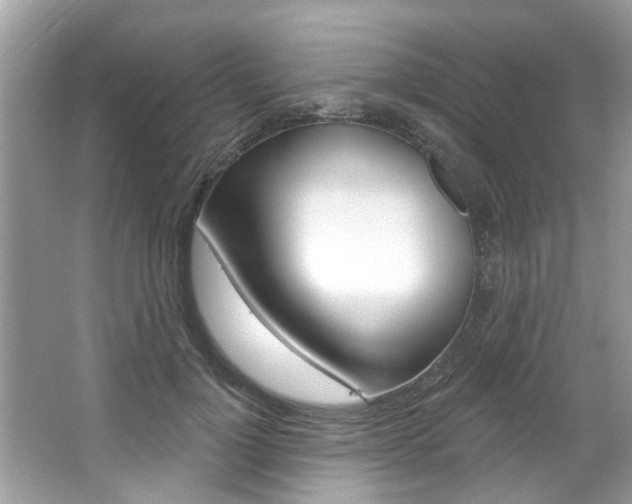 X0000067920748200604131134