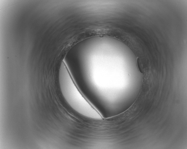 X0000067920752200604131134