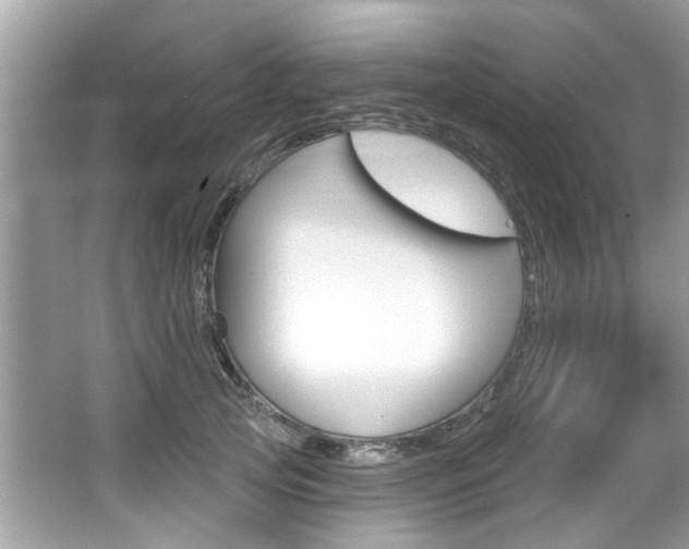 X0000067920753200604131134