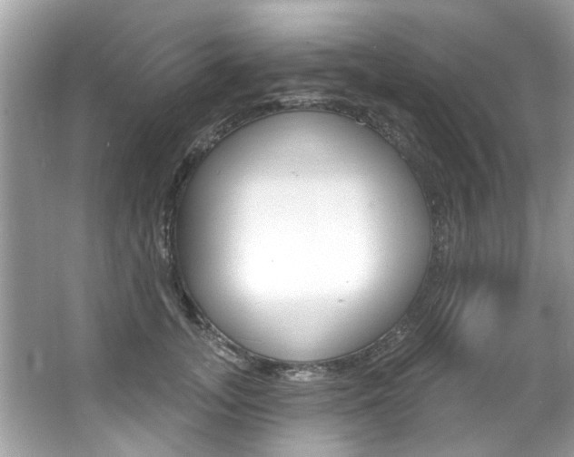 X0000067920755200604131134