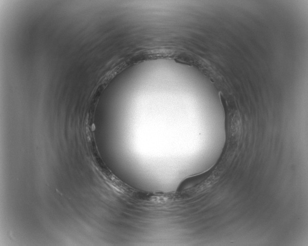 X0000067920764200604131134