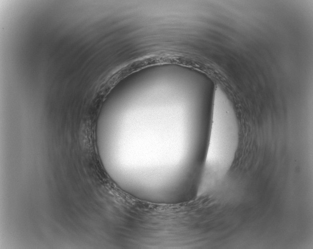 X0000067920773200604131133