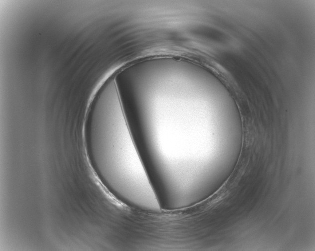 X0000067920796200604131133