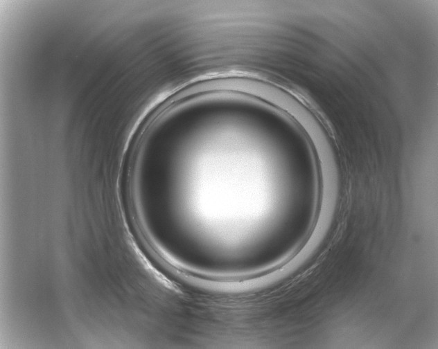 X0000067920805200604131133