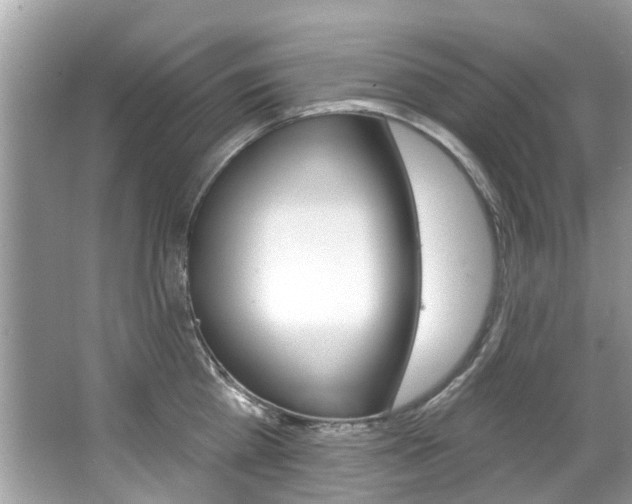 X0000067920809200604131133