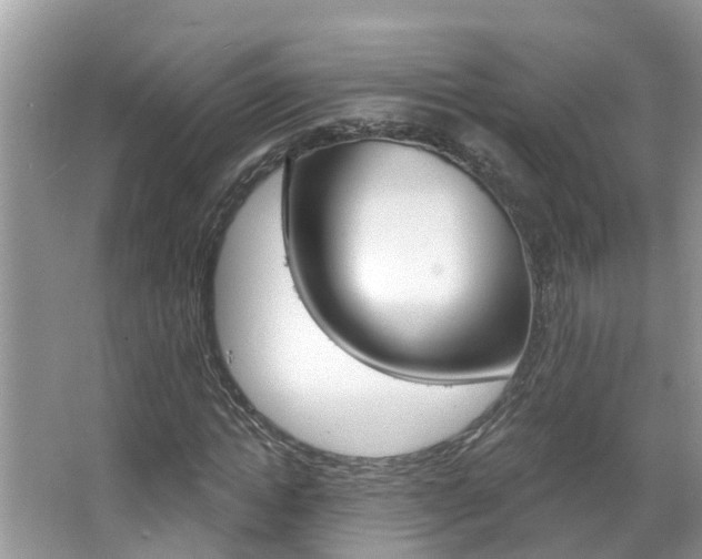 X0000067920822200604131132