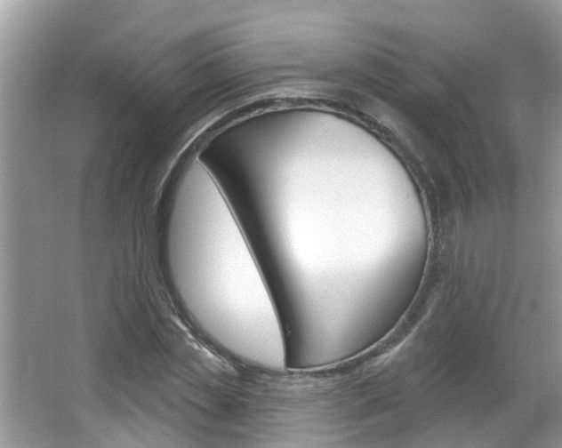 X0000067920829200604131132