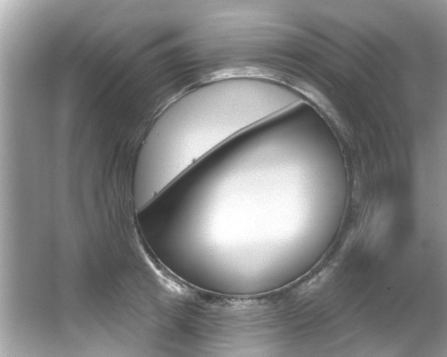 X0000067920849200604131132