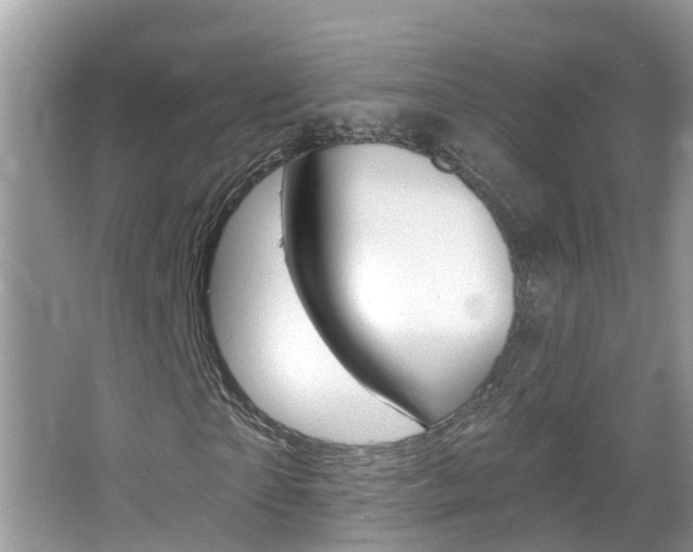 X0000067920865200604131132