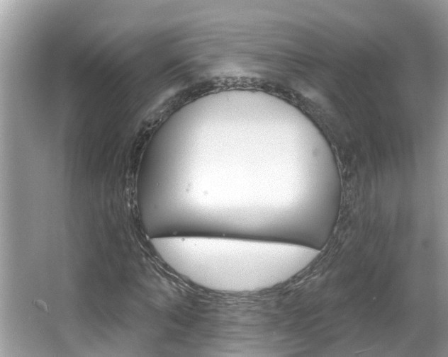 X0000067920870200604131132