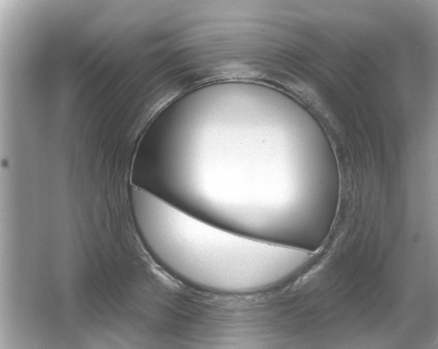 X0000067920889200604131132