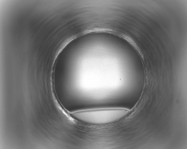 X0000067920906200604131131