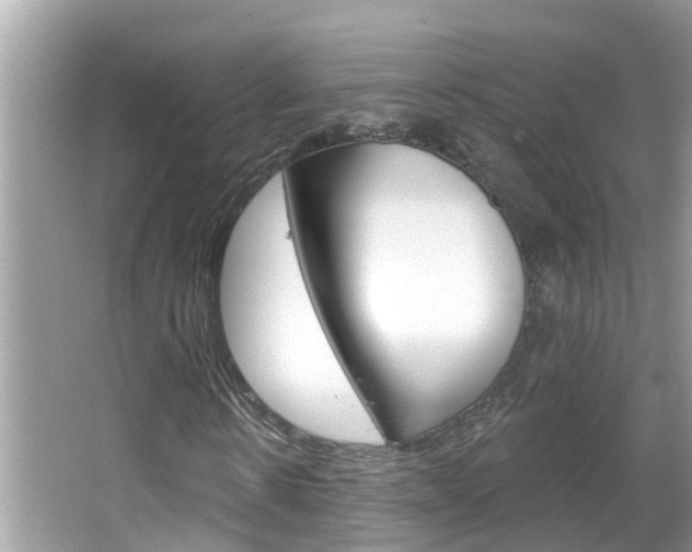 X0000067920914200604131130