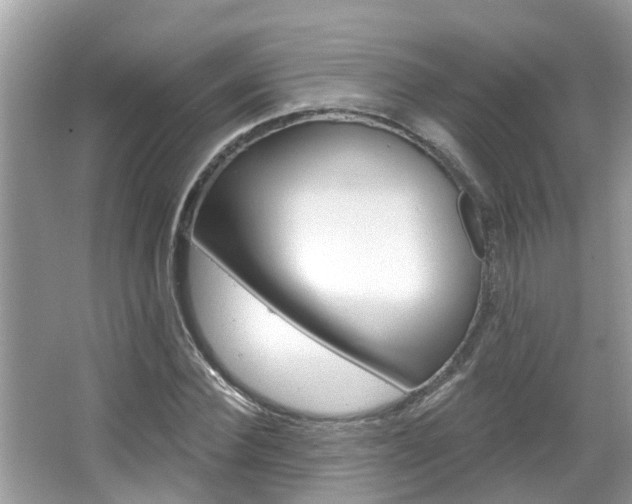 X0000067920924200604131131