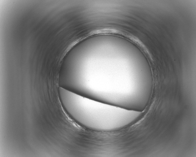 X0000067920945200604131131