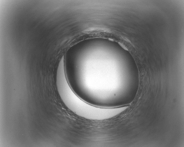 X0000067920965200604131130