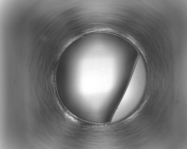 X0000067921001200604131130