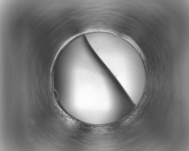 X0000067921004200604131130