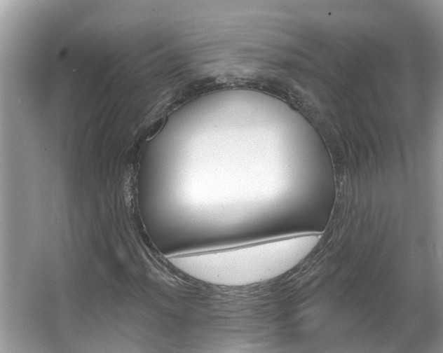 X0000067921012200604131129
