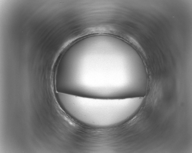 X0000067921035200604131129