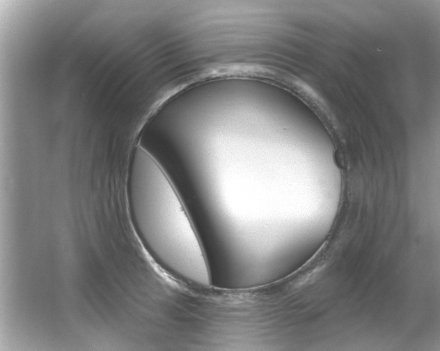 X0000067921041200604131129