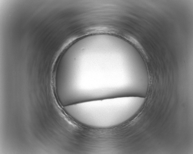 X0000067921043200604131129