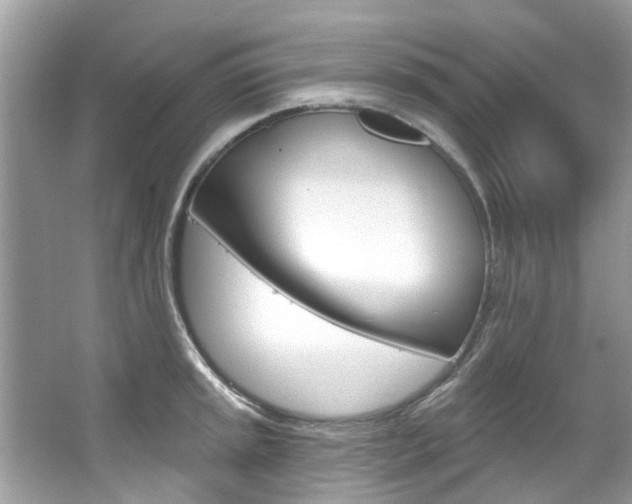 X0000067921045200604131129