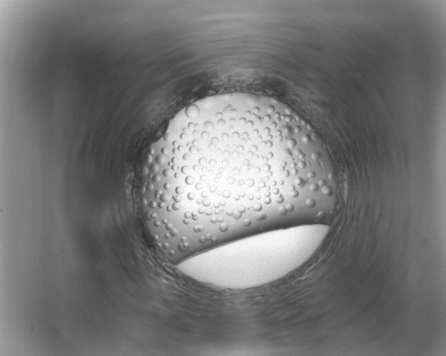 X0000067921059200604131129