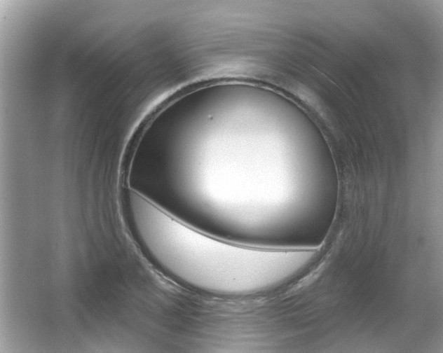X0000067921077200604131128