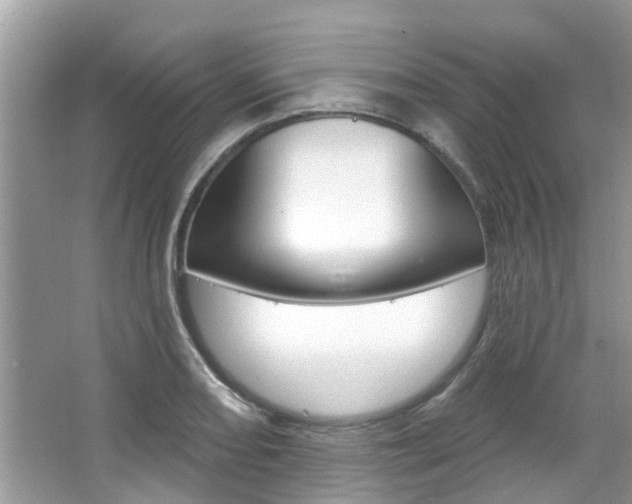 X0000067921082200604131128
