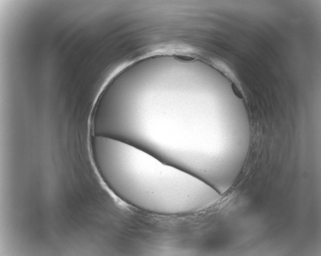 X0000067921103200604131128
