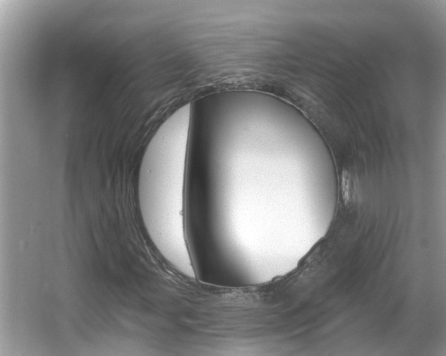 X0000067921107200604131127