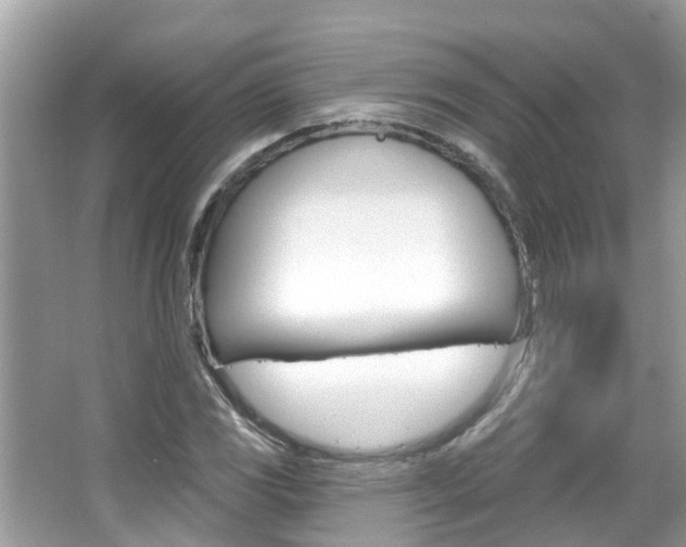 X0000067921117200604131127