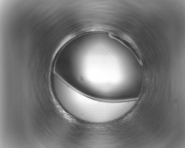 X0000067921138200604131128