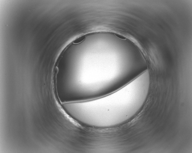 X0000067921142200604131128