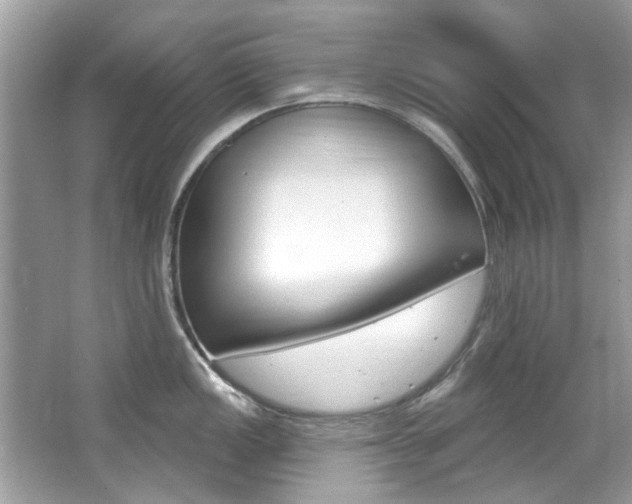 X0000067921149200604131128