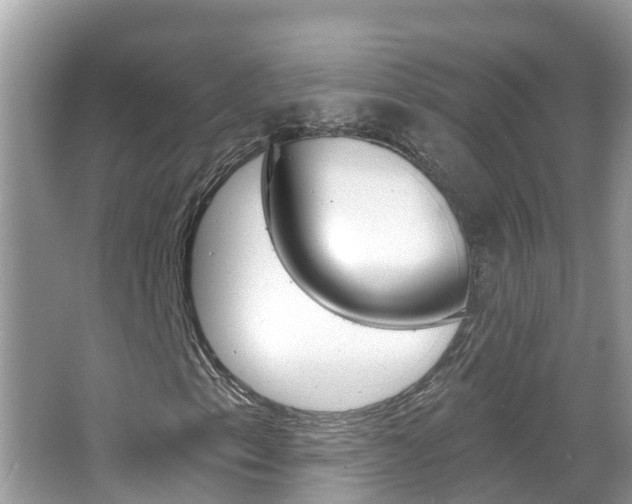 X0000067921153200604131127