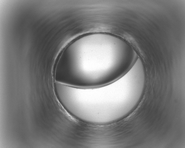 X0000067921184200604131127