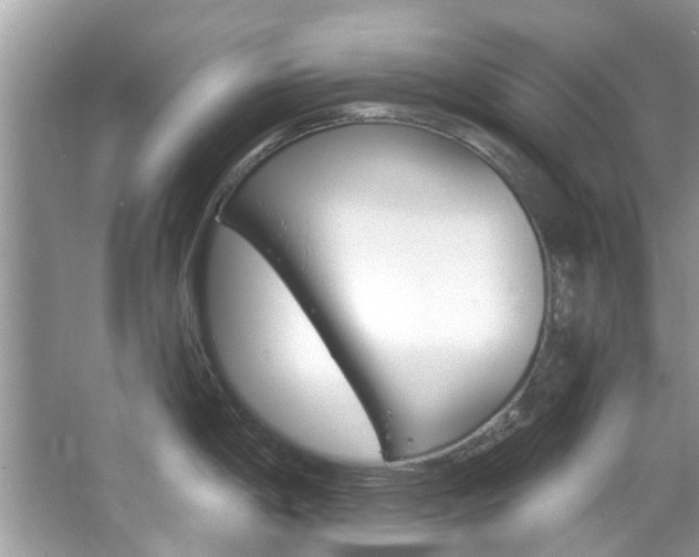 X0000067921198200604131126