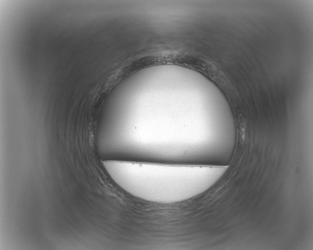 X0000067921204200604131126