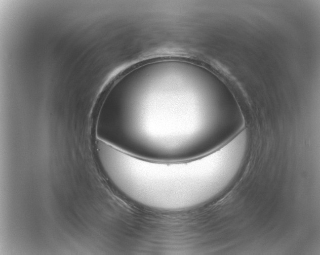 X0000067921222200604131126