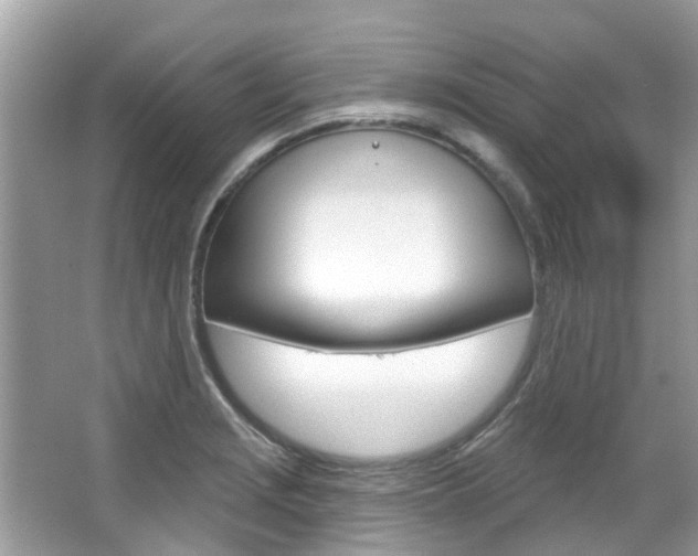 X0000067921229200604131126