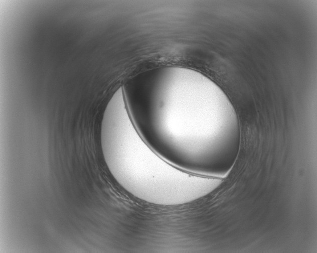 X0000067921250200604131125
